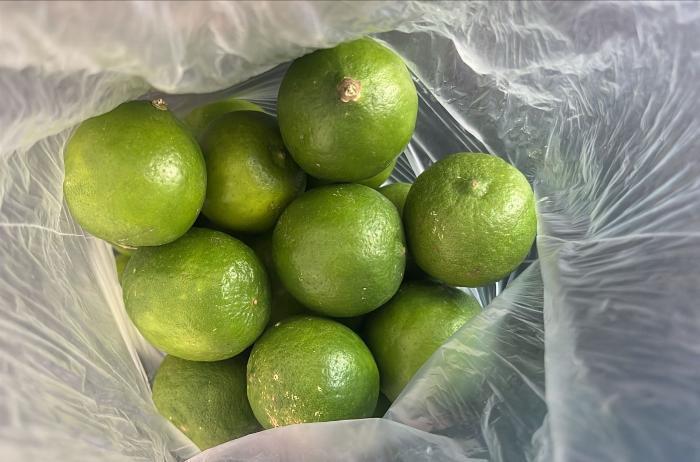 El limón se vende hasta en 50 pesos el kilo en el estado de Colima