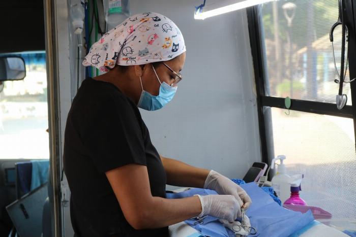 Ayuntamiento de Manzanillo brinda esterilizaciones gratuitas a perros y gatos de San Pedrito