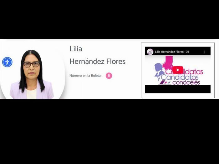 Conóceles: Busca Lilia Hernández Flores continuar como magistrada en el Tribunal Superior de Justicia