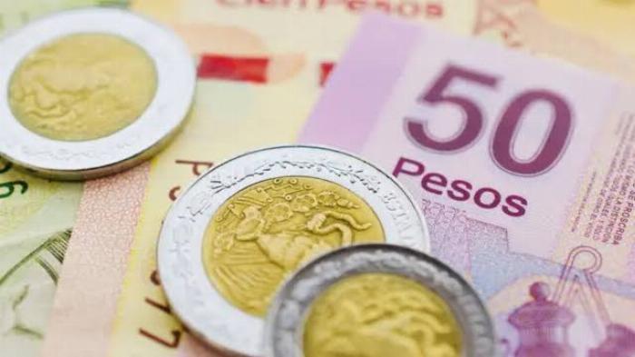 Aprueban descuentos en recargos y multas en el pago del Impuesto Sobre Nóminas 