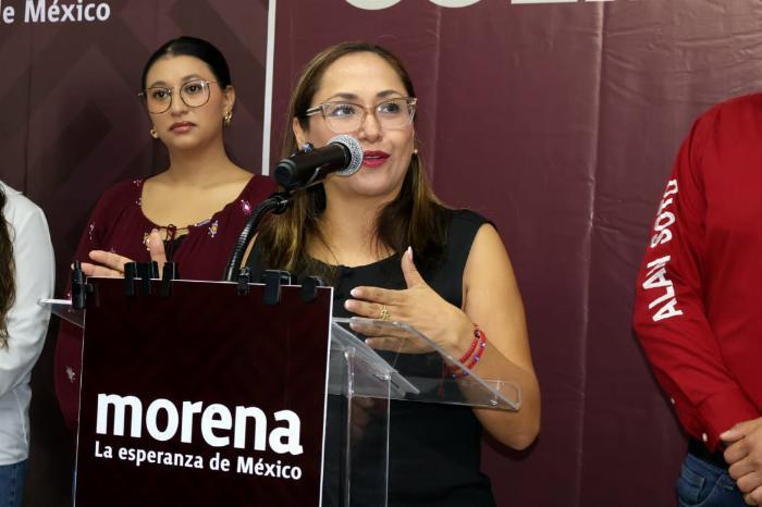 Acuerdos del Consejo Nacional buscan afianzar el proceso organizativo interno: Morena
