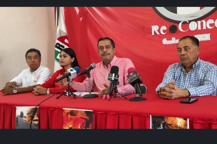 Por el momento al PRI no le interesa una alianza con el PVEM;