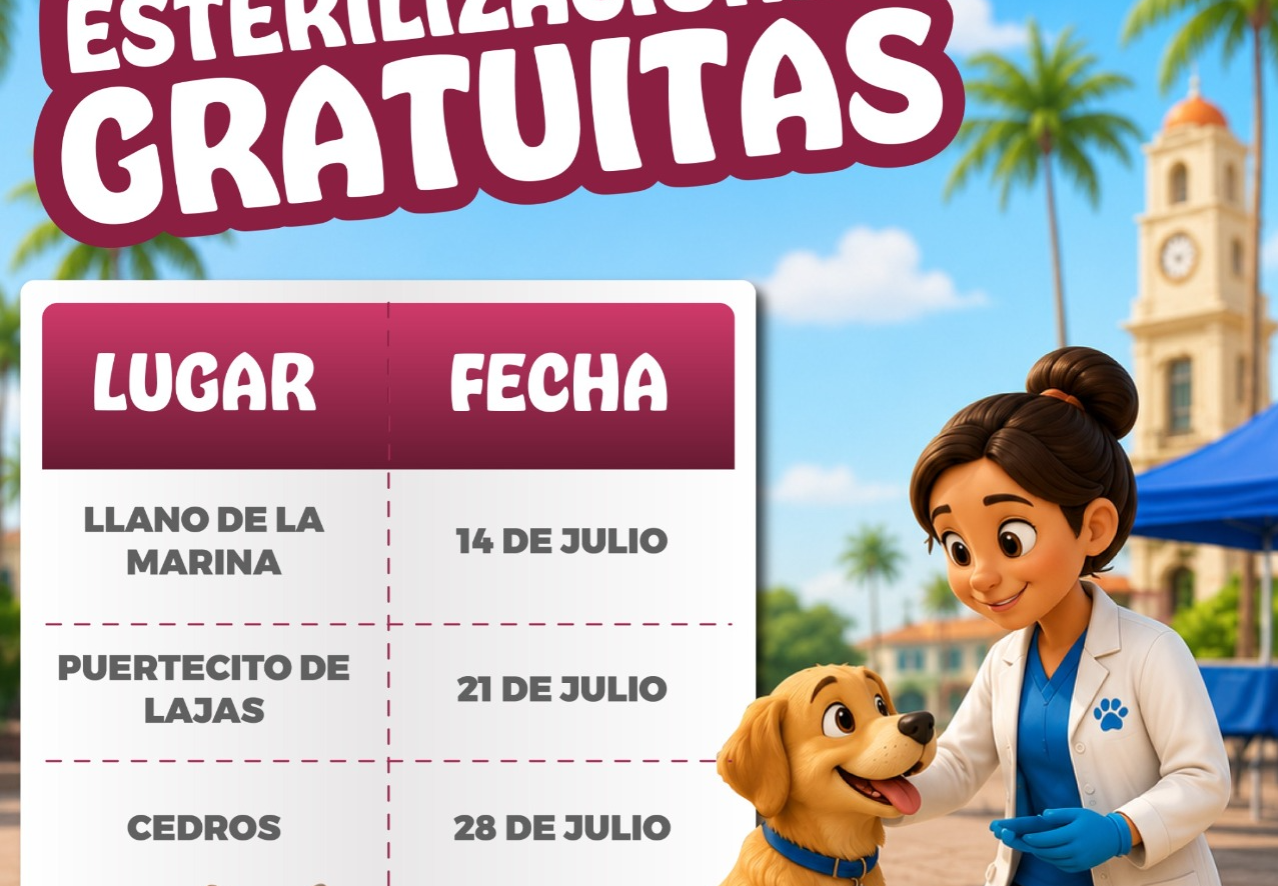 Ayuntamiento de Manzanillo impulsa esterilizaciones gratuitas a domicilio