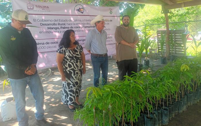 Entregan miles de plantas de coco, mango y tamarindo; es opción de negocio para familias